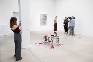 Kunstiväljal töötmiane_Igavesti oites_Siim Lovi, ERR_24