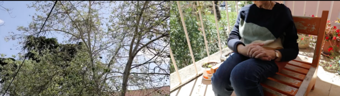 Screenshot 2025-11-18 at 13.51.48 (1)