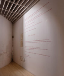 001_Liisa Nurklik 'Eksimas' EKA Galeriis_foto August Kilmi