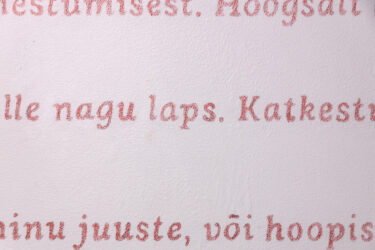 003_Liisa Nurklik 'Eksimas' EKA Galeriis_foto August Kilmi