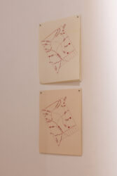 004_Liisa Nurklik 'Eksimas' EKA Galeriis_foto August Kilmi