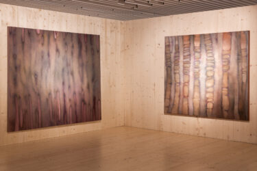 007_Liisa Nurklik 'Eksimas' EKA Galeriis_foto August Kilmi