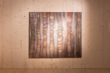 008_Liisa Nurklik 'Eksimas' EKA Galeriis_foto August Kilmi