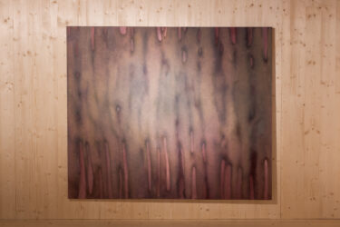 009_Liisa Nurklik 'Eksimas' EKA Galeriis_foto August Kilmi