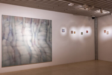 019_Liisa Nurklik 'Eksimas' EKA Galeriis_foto August Kilmi