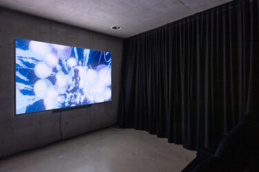 06_Animatsioon videoboksis_2026_foto Kaisa Maasik