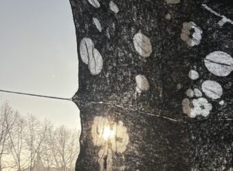 Vivian Vuks_detail (1)