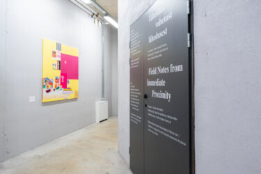 09_Täheldusi vahetust lähedusest EKA Galeriis_foto August Kilmi