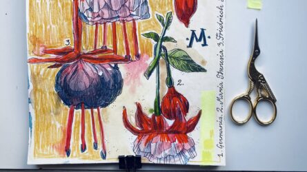 IMG_2742-scaled-aspect-ratio-1920-1080