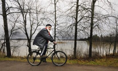 sirp_2016_40_0006__art_r1