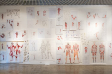 2_hindamismaraton_kunst_anatoomiline joonistamine_foto August Kilmi-09