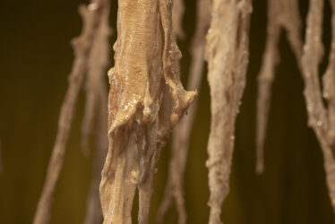 erikson_remediation_01