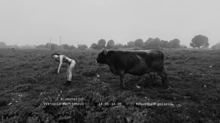 Biomaterial-Cow-BW-1920-1080
