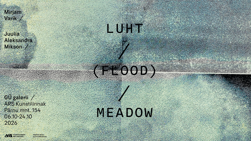 Mirjam Varik ja Juulia Aleksandra Mikson “Luht/(Flood) Meadow”