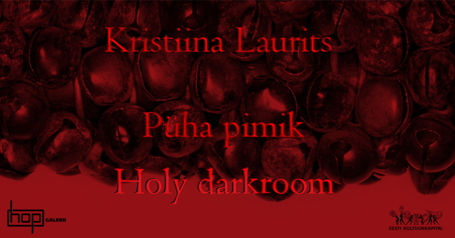 Kristiina Laurits “Püha pimik”