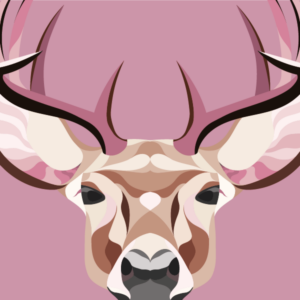 Illustrator sügis 2020