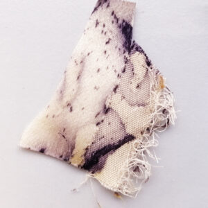 Foto1_Elusad pigmendid