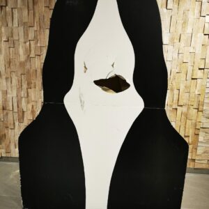 Mäetamm Näota mees