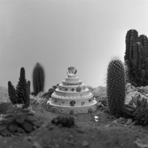 Taasluues neid vanu n6lvakuid, 2021. Foto Holger Loodus