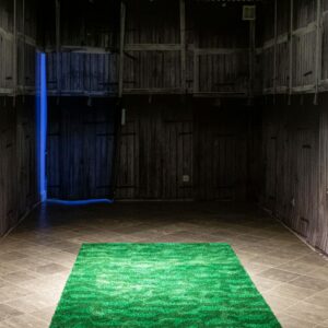 Krista Leesi Verbarium_foto_Hedi Jaansoo4