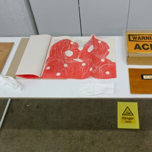 Vasakult_Reinersi_Lehtsaare_Hiire_raamatud_v