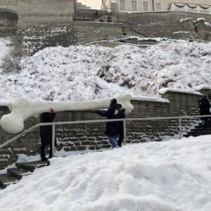 Meeleavaldus Kirke Kangro foto1
