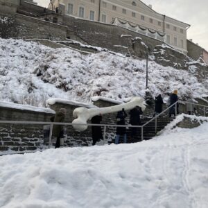 Meeleavaldus Kirke Kangro foto4