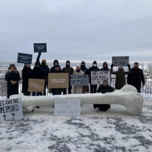 Meeleavaldus Kirke Kangro foto7