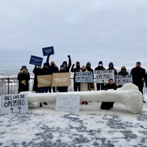 Meeleavaldus Kirke Kangro foto8