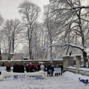 Meeleavaldus Toompeal foto Taavi Tiidor1