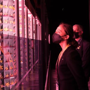 EKA delegatsioon EXPOl Dubais17