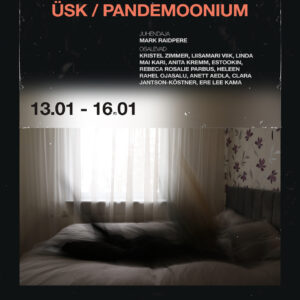üsk pandemoonium poster