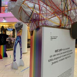 Lisette Sivard Karl Joonas Alamaa õmbluseta 10 jaanuar18