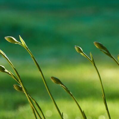 dariusz-mejer-TVyJBsMHork-unsplash