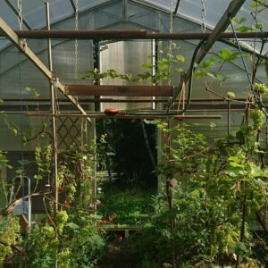 DSC_1718_aed_kasvuhoone_margot-kask