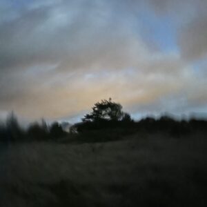 Paljassaare Tilde Kirstine Sejersen Platz