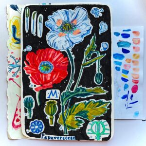 345594789_1168920327221008_4743169577301945578_n