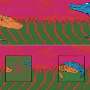 Screenshot-2024-05-20-at-12.57.09-1440x600