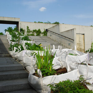 e8cf5206044c4958715f4a7bab70ea74