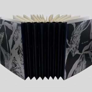 Liisi Hinto võidutöö 1