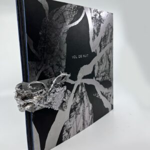 Liisi Hinto võidutöö 2