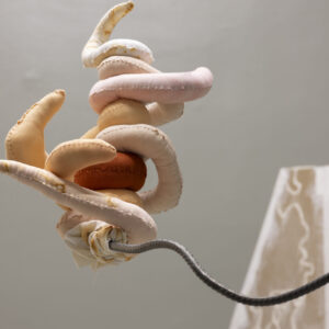 Sarah Noonan_Detail_Foto - Elo Vahtrik