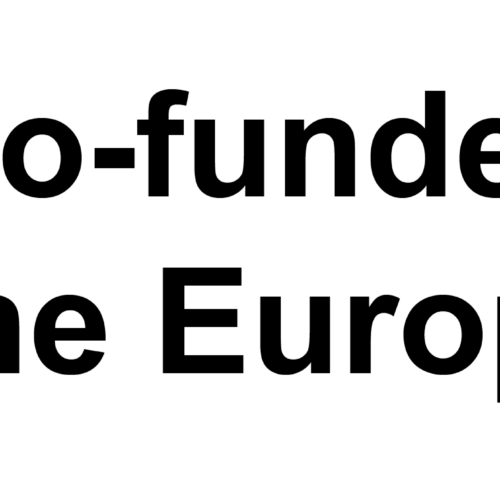 EN_Co-fundedbytheEU_RGB_BLACK Outline