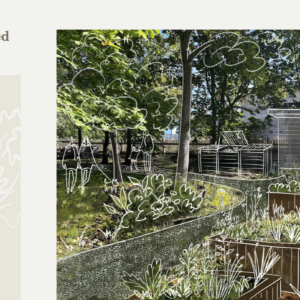 DI_Amandus Adamsoni hoov_14-12-2024-04