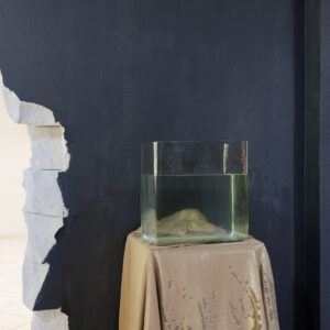 2025-EKA_TASE25_yldvaated_JoosepKivimäe_078