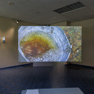 2025-EKA_TASE25_yldvaated_JoosepKivimäe_182