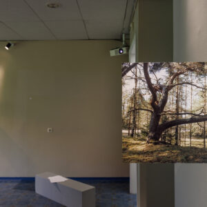 2025-EKA_TASE25_yldvaated_JoosepKivimäe_184