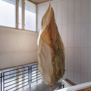 2025-EKA_TASE25_yldvaated_JoosepKivimäe_209