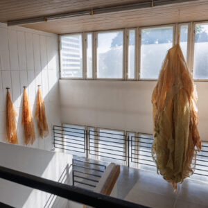 2025-EKA_TASE25_yldvaated_JoosepKivimäe_210