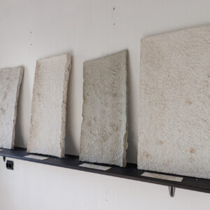 2025-EKA_TASE25_yldvaated_JoosepKivimäe_217